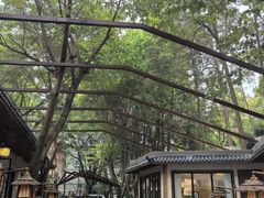 -老渔家鲜鱼轩(南浦横街店)