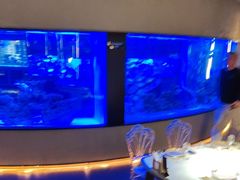 -上和臻品中国菜(花园街店)