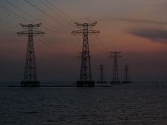 -宝安西湾红树林湿地公园