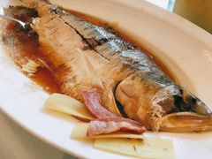 清蒸鲥鱼-上海小南国(国会店)