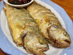 -肥仔濑尿虾(全球通总店)