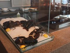 -视界美食自助餐厅·石家庄希尔顿酒店