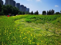 -长白岛森林公园