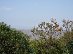 -上海吴淞炮台湾国家湿地公园
