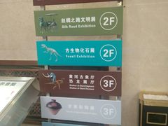 -甘肃省博物馆