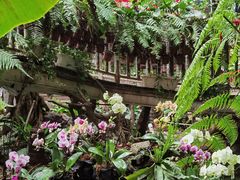 -正佳雨林生态植物园