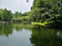 -晓港公园