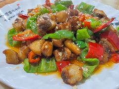 -煲来饱去冷水鱼