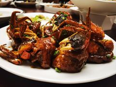 -大可堂普洱茶馆(襄阳南路馆)