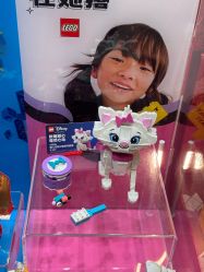 -乐高授权专卖店(华采天地店)