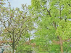 -南山植物园