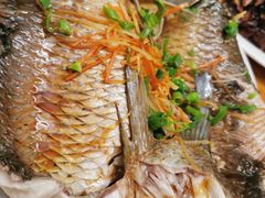清蒸鲩鱼-大赤坎肥仔强烧味海鲜餐厅(大赤坎店)