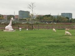 -栖露营camping·天幕烧烤·团建拓展·采摘营地