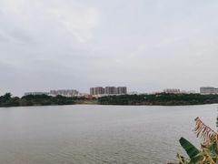 -立新湖公园