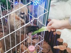 -万达广场(大明宫店)