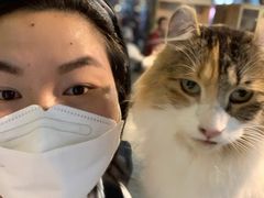 -more than meow吴止猫主题餐厅(承德 中船汇店)