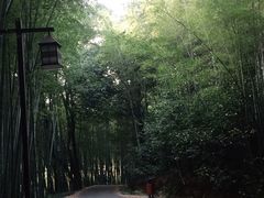 -苏州环秀晓筑养生度假村