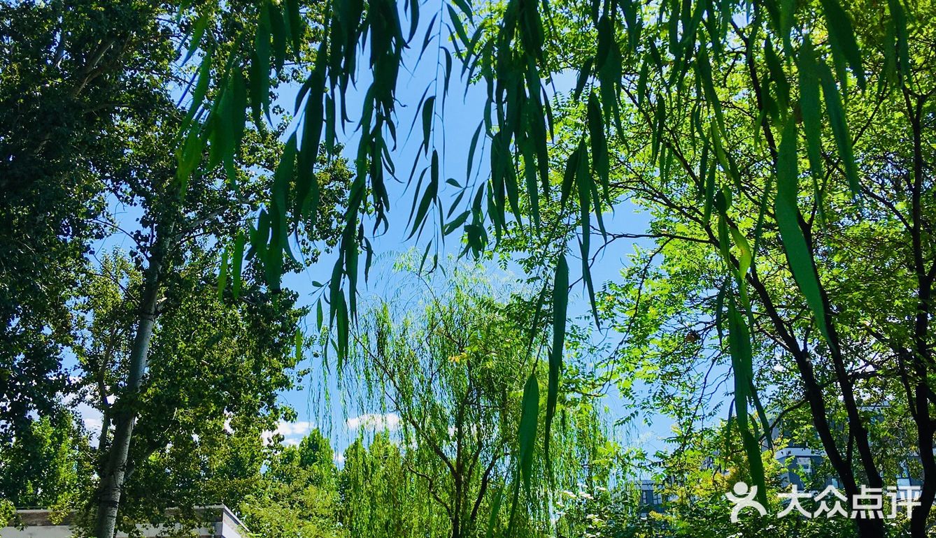 31-20摄氏度，吹着风温度还超级舒服