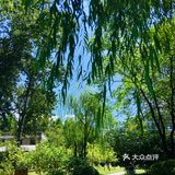 31-20摄氏度，吹着风温度还超级舒服