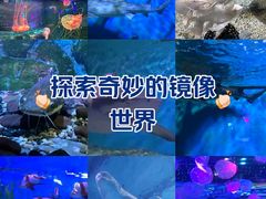 -正佳极地海洋世界