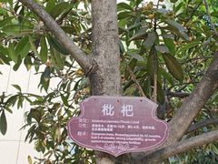 -南阳建业森林半岛假日酒店