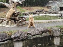 -宁波野生动物园