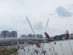 -映月湖中央公园