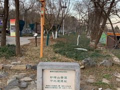 -阳台山自然风景区