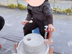 -前小桔亲子创意农场·草莓采摘·露营烧烤