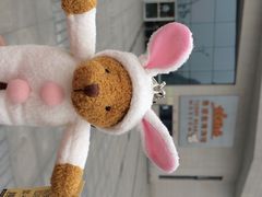 iphone_upload_pic-成都泰迪熊博物馆