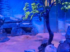 -上海海昌海洋公园