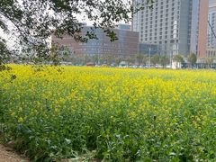 -光明小镇欢乐田园