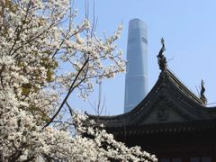 -豫园