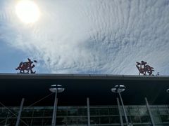 -威海大水泊国际机场