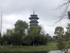-洋湖国家湿地公园