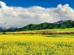 -扁都口生态休闲旅游区