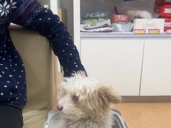 -宠颐生中康贝怡动物医院