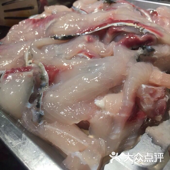 花开如云 熔岩石鱼(1912店)图片 - 第1张