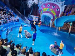 -烟台海昌鲸鲨海洋公园