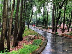 -东湖落雁景区