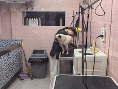 -FAELING PETS美天灵宠物(富力广场店)