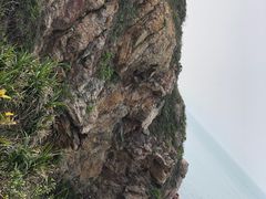 -杨梅坑