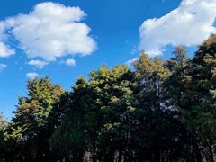 -苍山感通索道