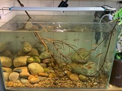 -Rabbit Cafe私房西餐甜点咖啡(栖霞路店)