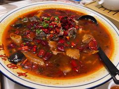 麻辣毛血旺-稻香酒家·33年老字号·港式粤菜(富邦中心店)
