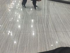 -瑞派名望志远动物医院·猫科·內科·异宠专科(直港大道店)