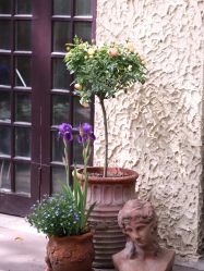 -HeyJewel全球独立设计师原创首饰集合店