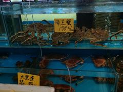 水产区-小龙酒家(桂平路店)