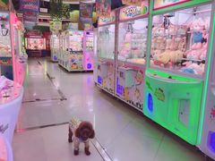 -小象猛犸(炫地购物中心店)