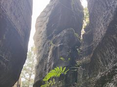 -梭布垭石林景区